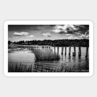 McCormack's Beach Provincial Park in Black & White Sticker